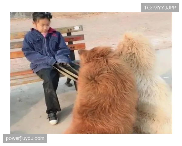 张继科厨房自拍那把椅子，价格估计能顶我三个月工资